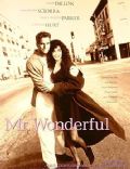 Mr. Wonderful